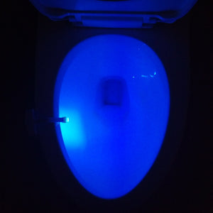 TV SHOPPING STORE-Toilet Induction LED Night light 