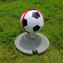 Image of Soccer trainer