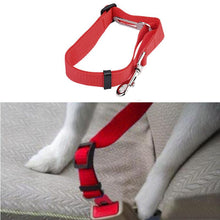 Image of Pet Car Seat Belt
