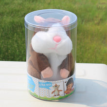 Image of Little Talking Hamster Plush Toy