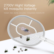 Image of Summer Fly Swatter Trap