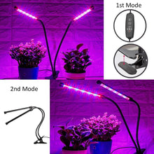 Image of PLANT LED LIGHT FOR SPEED GROWING