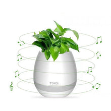 Image of LED Bluetooth Music Planter Pot