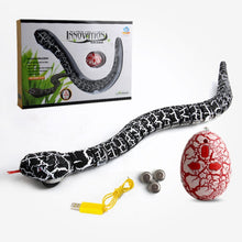 Image of Remote Control Snake Toy