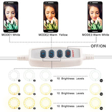 Image of Photo shoot, Photographer, Photographic studio
