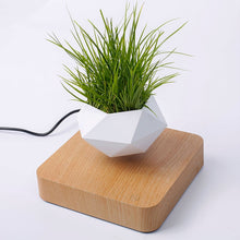 Image of Levitating Plant Pot